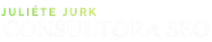 consultor-seo